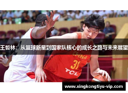 王哲林：从篮球新星到国家队核心的成长之路与未来展望
